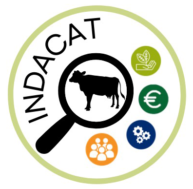 INDACAT logo